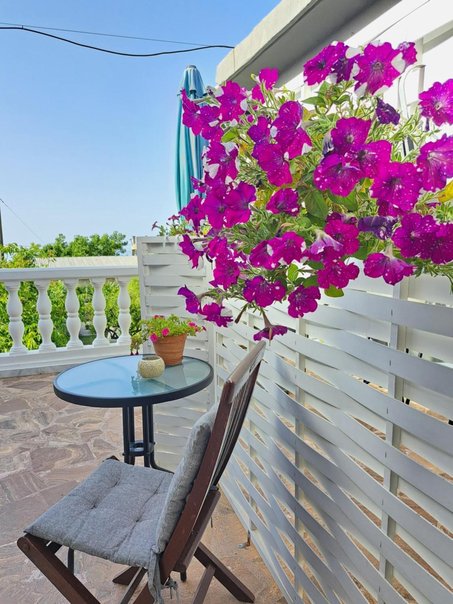 Appartamento Garden Pirgos Psilonerou
